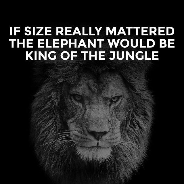 King power forex
