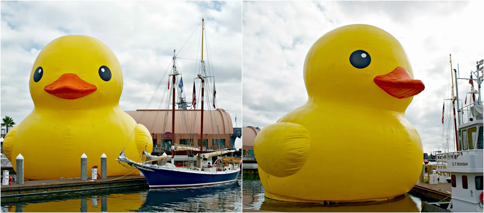 Macke Monologues A Giant Rubber Ducky