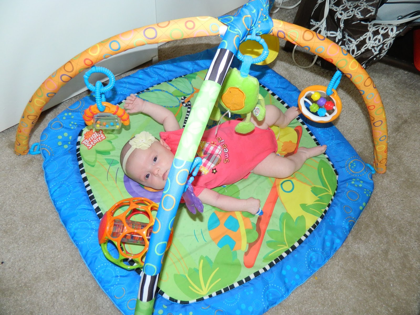 PolkaDotty Place Favorite Baby Play Items 02 Months