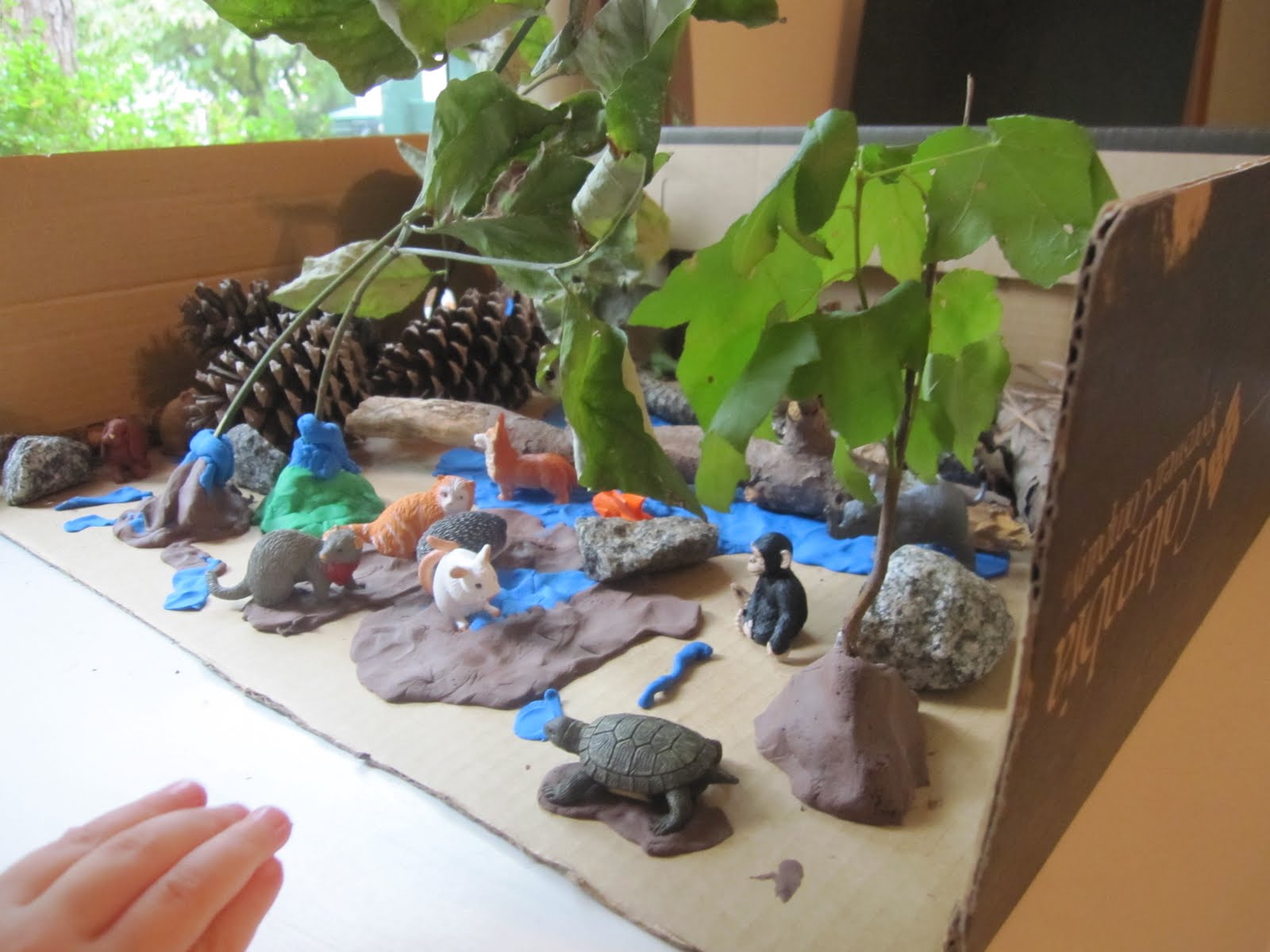 Play Adventures: Animal Habitat