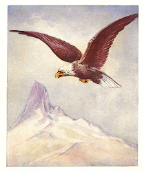 bird eagle digital illustration lark clip robin flying nest printable