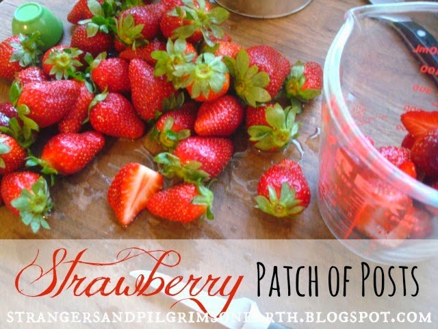 What to Make and Do with Strawberries