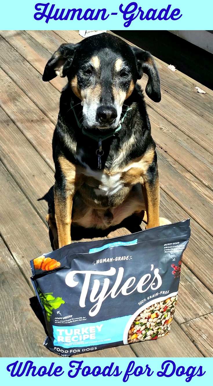 Lapdog Creations Tylee's HumanGrade Dog Food 30 Day Challenge 