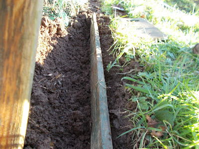 Length of wood in trench How to keep weeds out of your allotment 80 Minute Allotment Green Fingered Blog