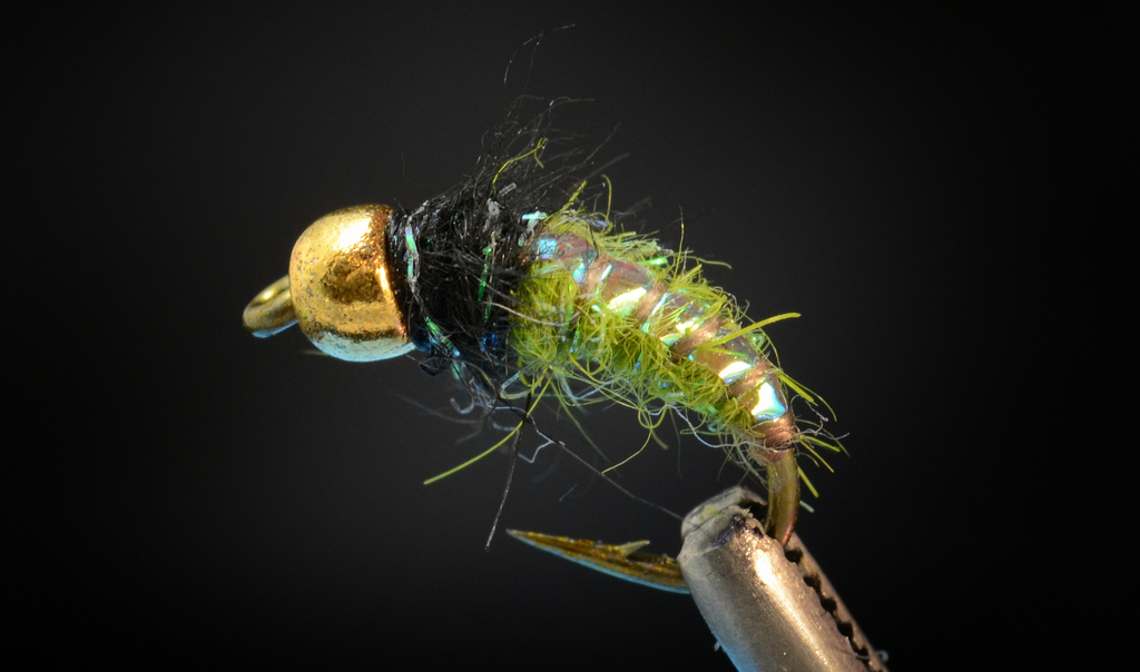 Rock worms that rock. Fly Fish Food