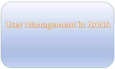 User Management in SAP HANA Database