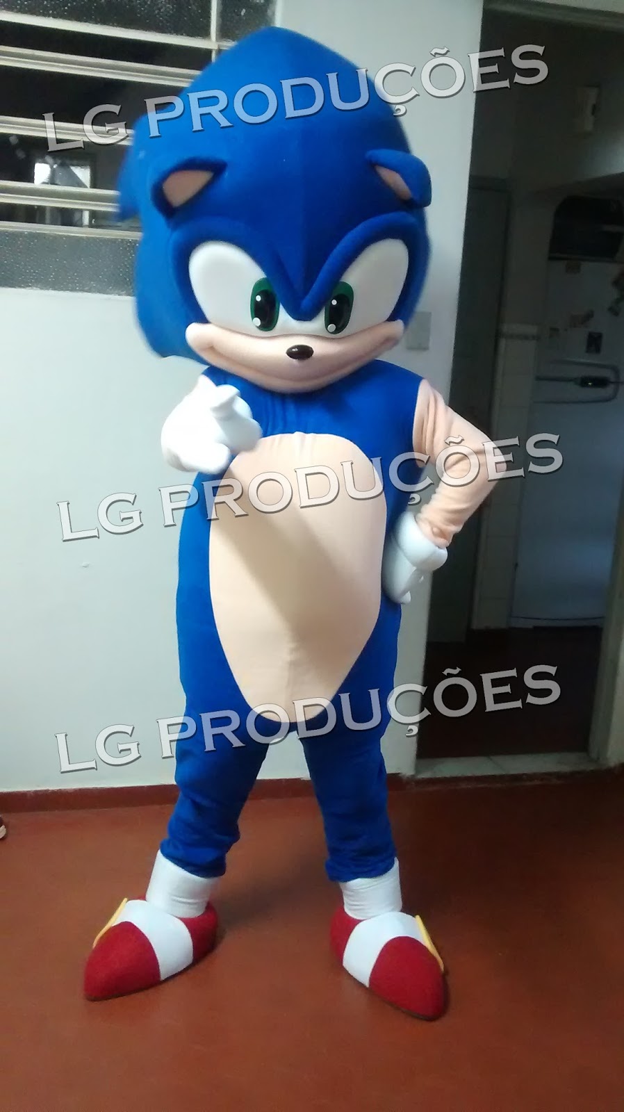 Sonic - Personagem Vivo RJ