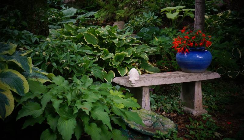 plantas de sombra y banco de piedra