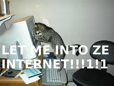 let-me-into-ze-internet-cat-cats-kitten-kitty-pic-picture-funny-lolcat-cute-fun-lovely-photo-images- funny images