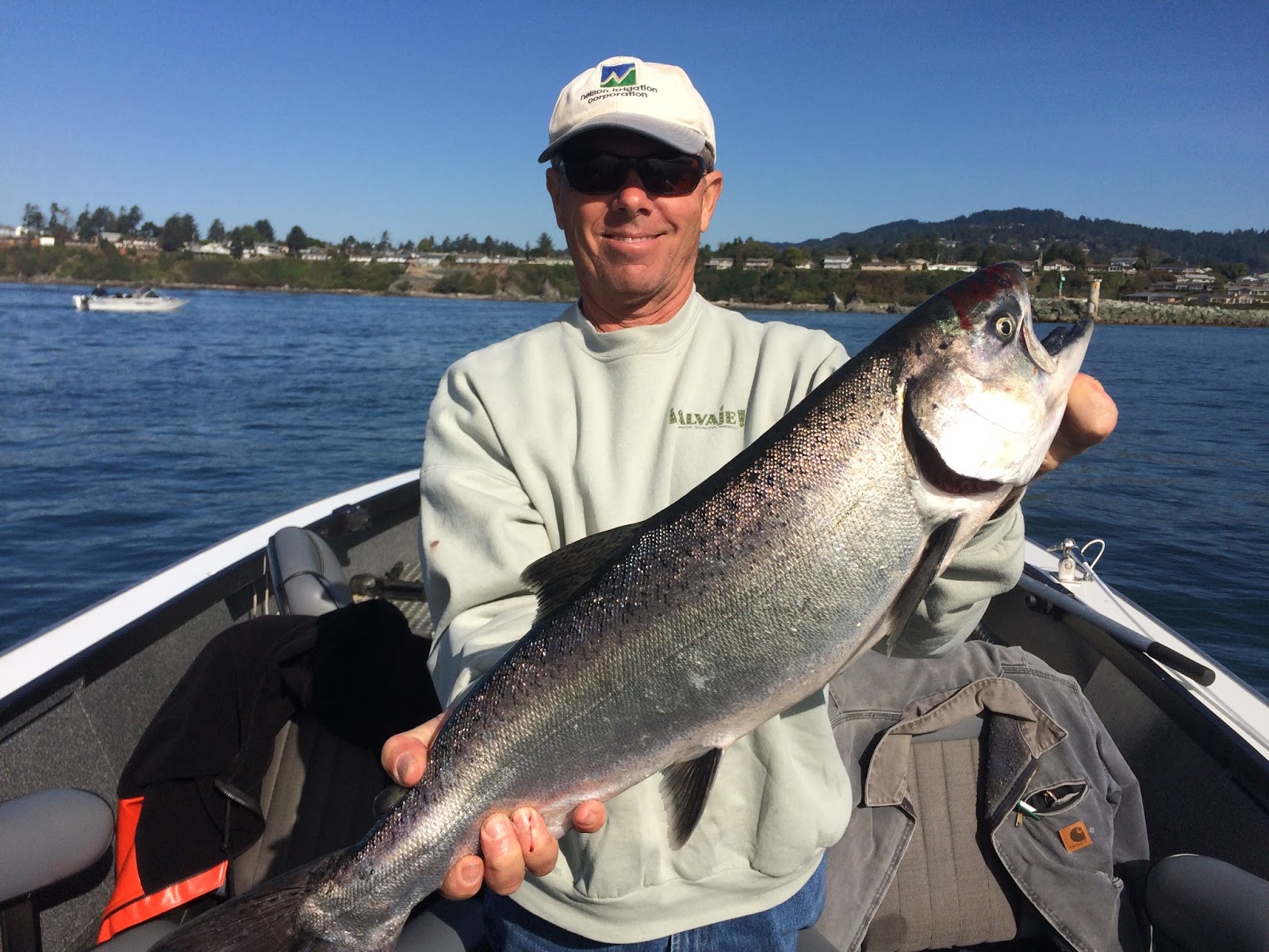 Brookings, Oregon, Fishing Charters Ocean salmon seasons out of