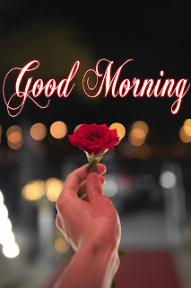 good morning with rose good morning with rose