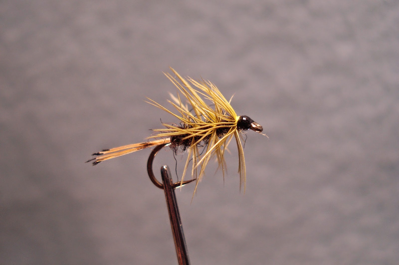 SOFT HACKLES, TIGHT LINES: Yaller Hammer; Yallerhammer; or Yellow Hammer