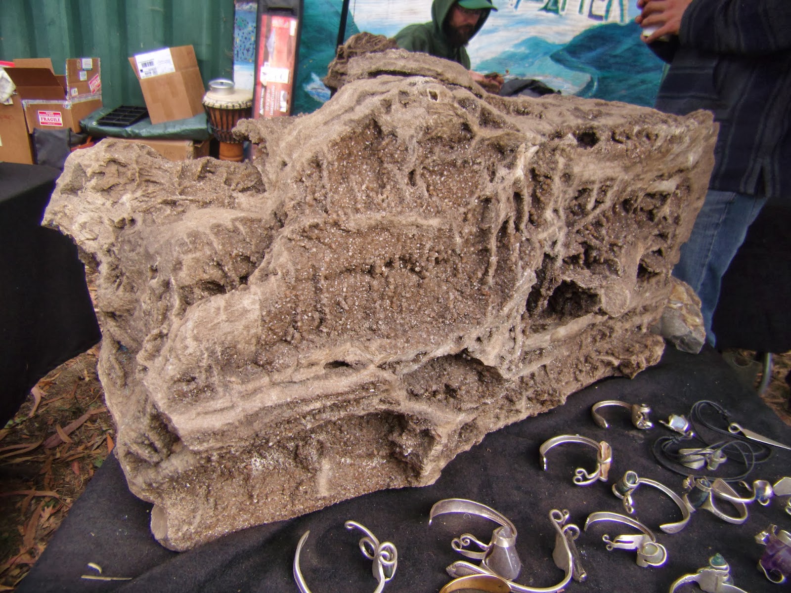 Eclectic Arcania Alabama Petrified Wood