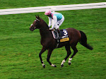 The mighty Frankel