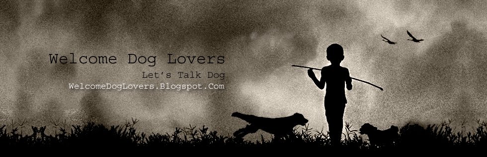 Welcome Dog Lovers - The Dog Blog - Dog Breeds, Training, Adoption & Behavior
