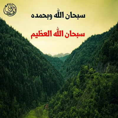 shof_4f5cb9debd4ab9d