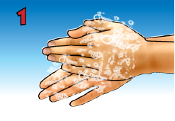 7 Langkah Mencuci Tangan Menurut Depkes Dokter 1 Telapak Gambar