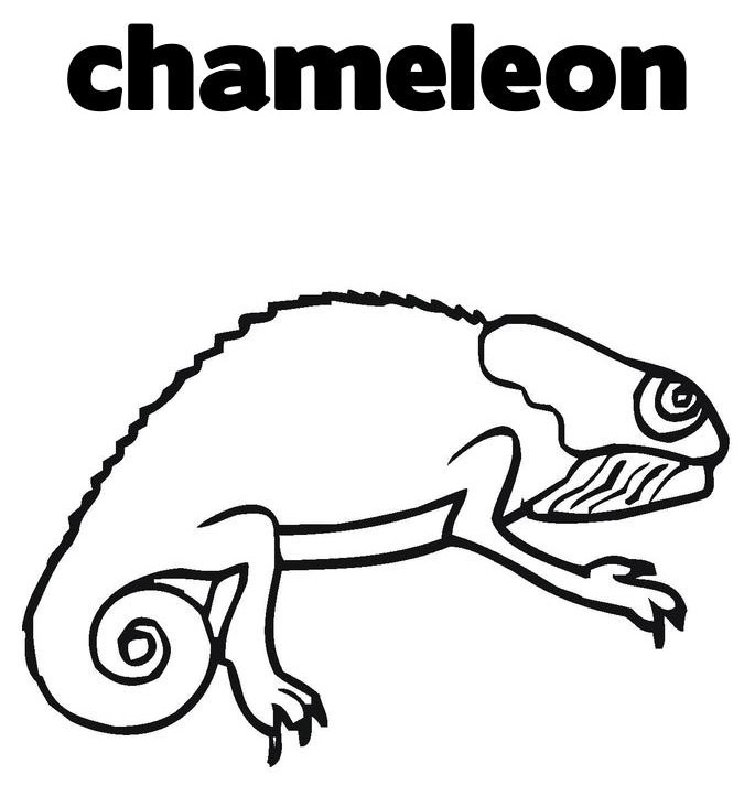 Chameleon Coloring Pages To Printable