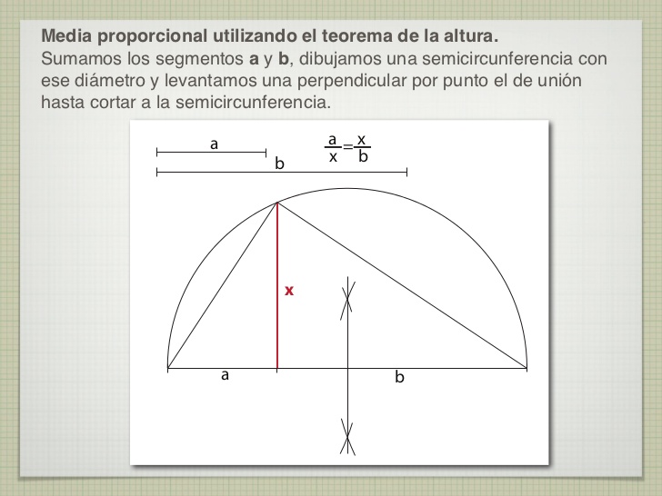 Plaga ignorancia Saliente Geometría para Julia: Proporcionalidad II. Teoremas de la hipotenusa y  Teorema del Cateto