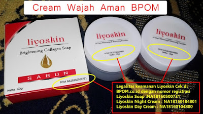 Cream Flek Hitam BerBPOM Ampuh Liyoskin Cream Flek Hitam BerBPOM Ampuh