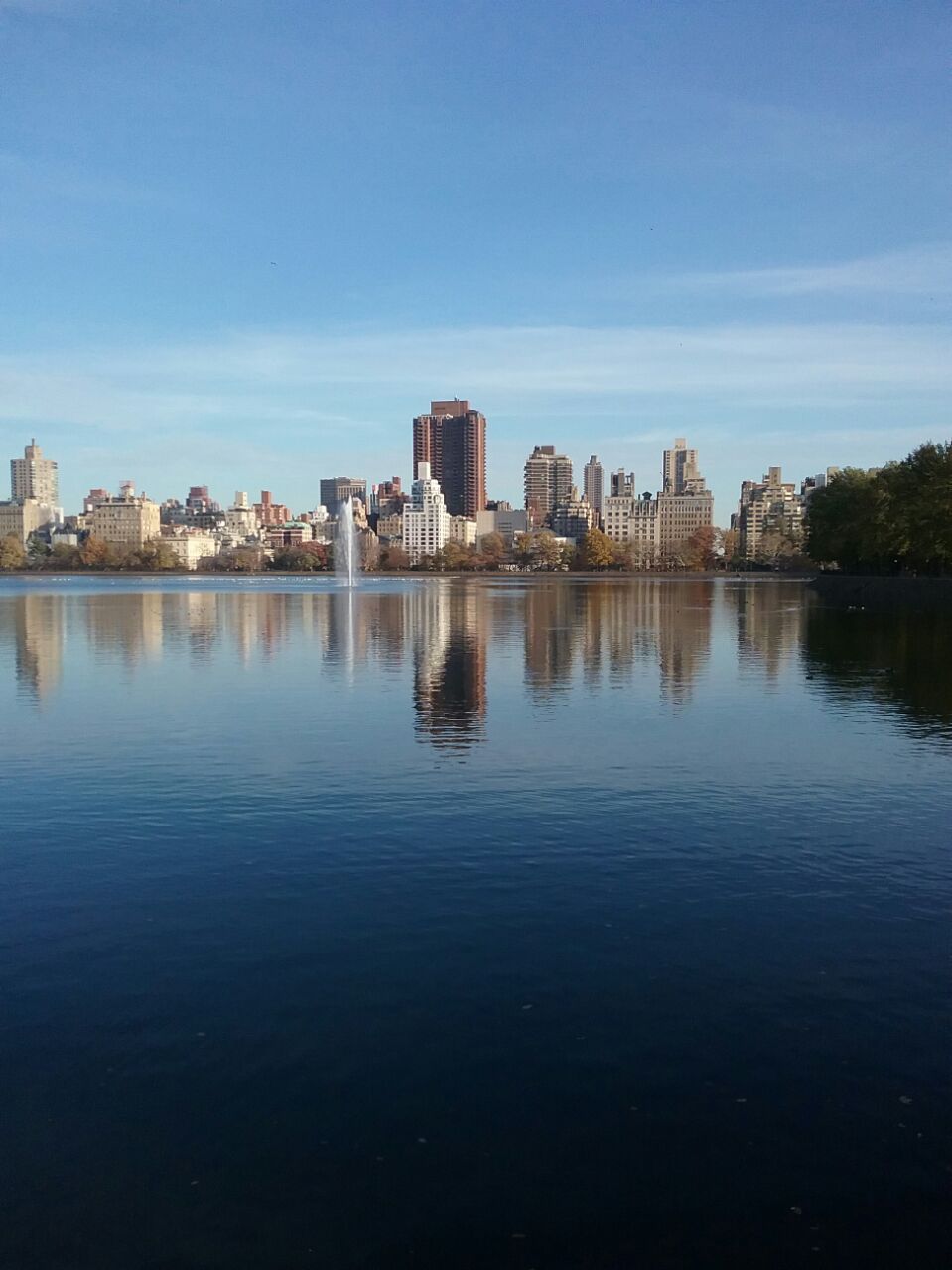 CHINAR SHADE A VISIT TO CENTRAL PARK IN UPTOWN MANHATTAN NEW YORK...