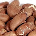 HEALTH BENEFITS & SIDE EFFECTS OF BITTER KOLA YOU NEVER KNEW OF
