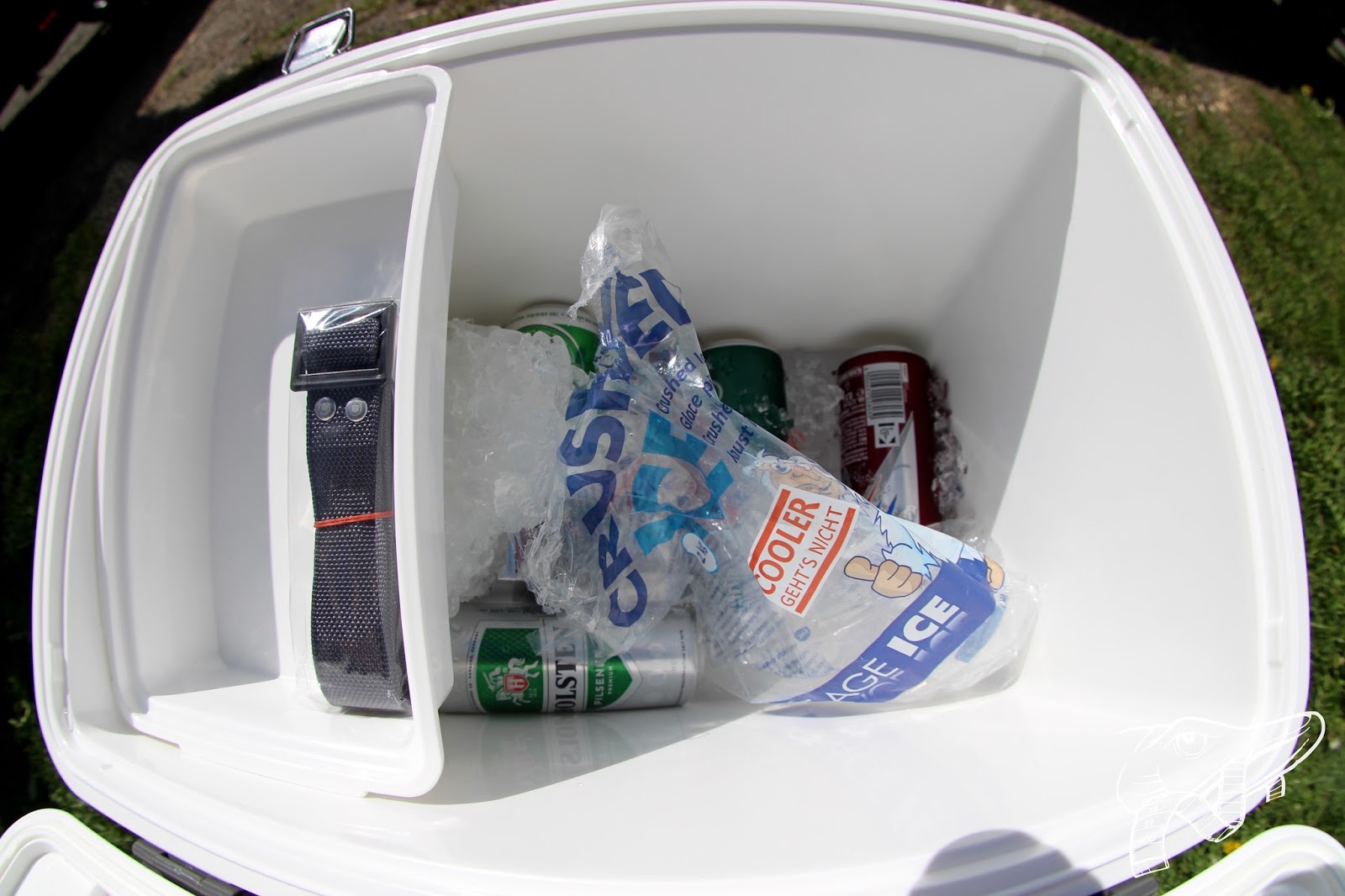 WFT Multicooler 18L Blue