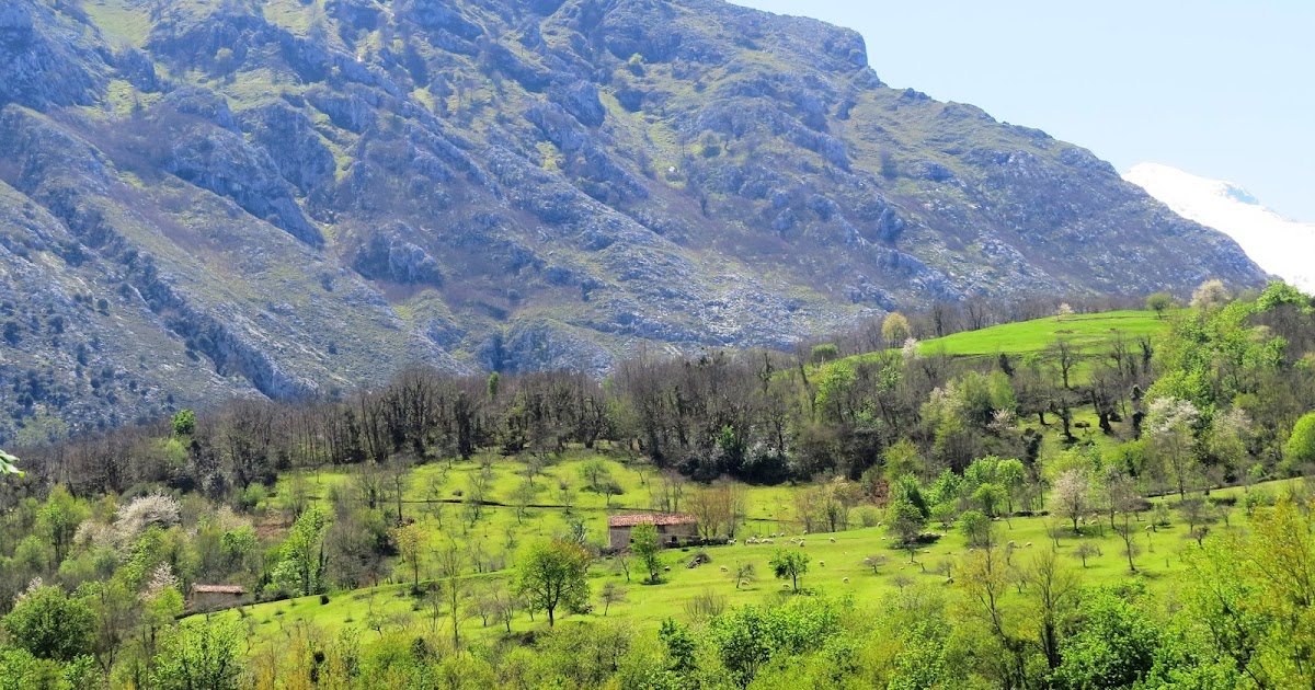Mas Pueblos de Asturias