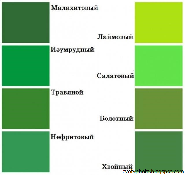 Зеленый цвет на руси. Оттенки зелёного цвета. Зеленый цвет названия. Зелёные оттенки цветов. Разновидности зеленого цвета.
