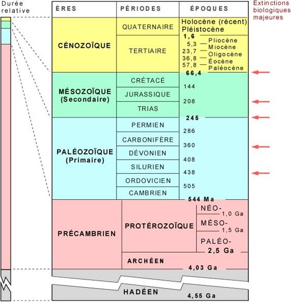 Geol Echelle Stratigraphique Et Principales Extinctions Biologiques
