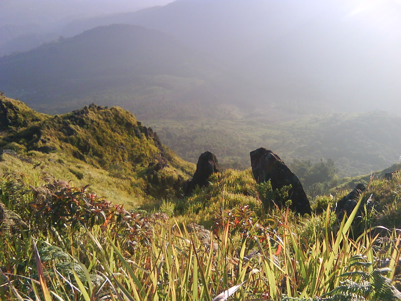 Tempat Wisata Semarang: Wisata Alam Puncak Gunung Ungaran