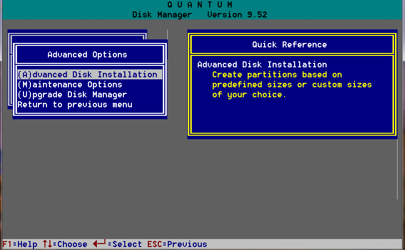 dm disk manager