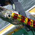 釣行 太刀魚2[ 東京湾 ] 灼熱の横須賀沖で遂に悟りを開く