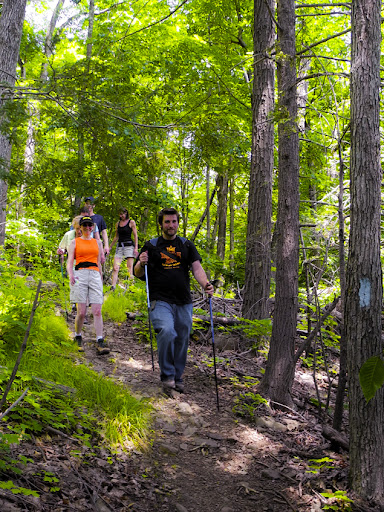 Along the Metacomet Trail 