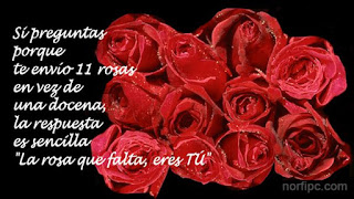 poemas de rosas poemas de rosas