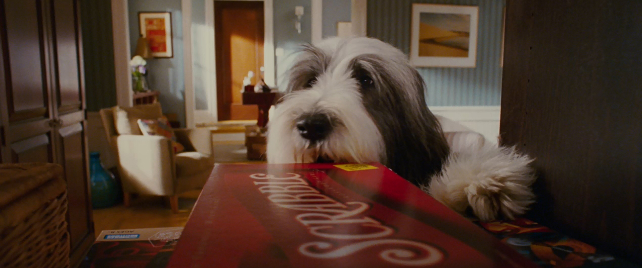 The Shaggy Dog (Brian Robbins, 2006)