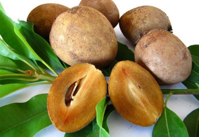 Sawo Gambar Buah Yang Mengandung Vitamin C - Sawo