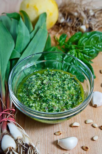 Wild Leek (aka Ramp) Pesto Wild Leek (aka Ramp) Pesto
