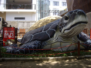 TURTLE RESCUE AND HATCHING SANCTUARY AT THE SATGAS STATION, KUTA