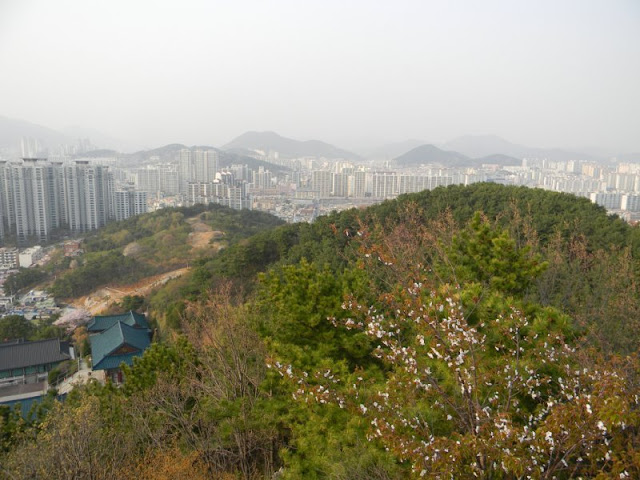 부산 배산