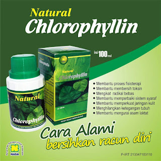 Natural Clorppylin Anti Racun Alami Natural Clorppylin Anti Racun Alami