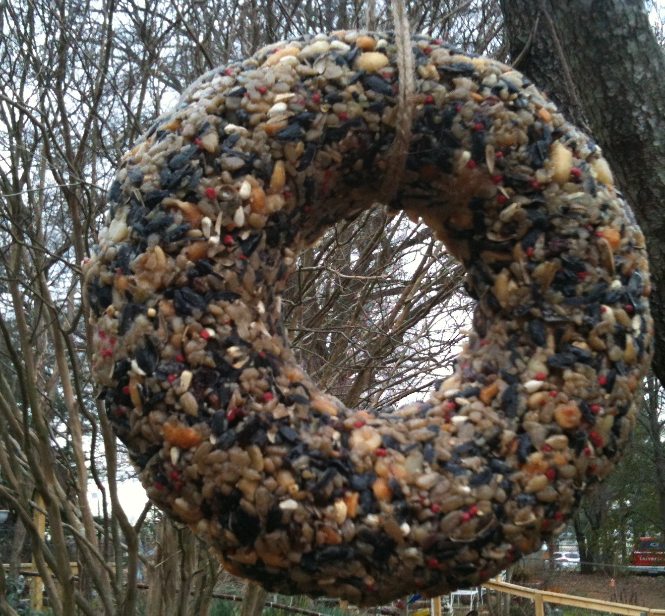 Growing Deep Roots Birdseed wreath