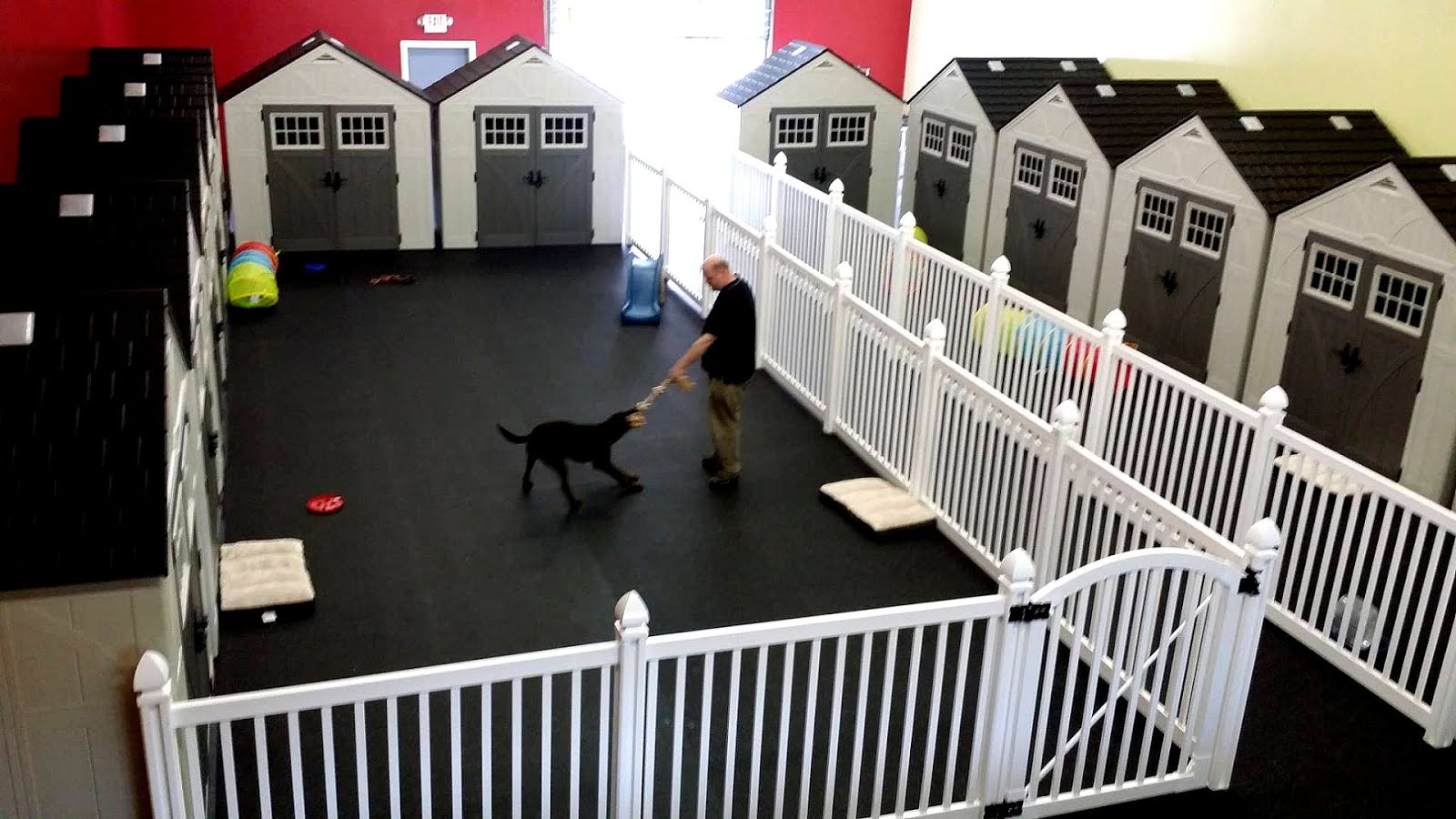 Cat Indoor Pet Fences Fence Choices