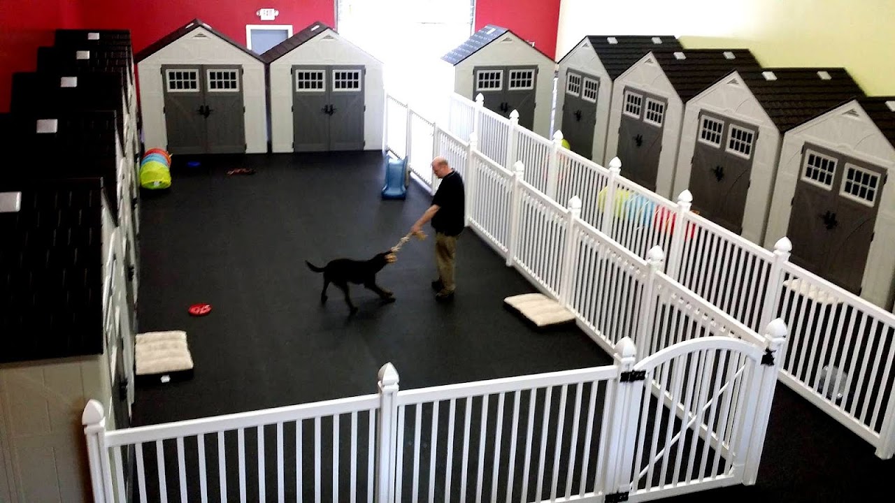 Cat Indoor Pet Fences Fence Choices
