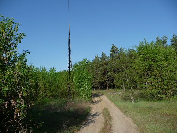 Національний природний парк «Олешківські піски»