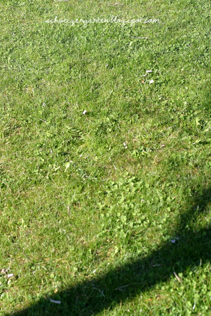 Ein Schweizer Garten: Vertikutiert ihr noch, oder düngt ihr schon?