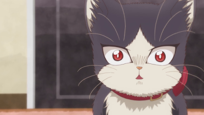 Download Doukyonin Wa Hiza Tokidoki Atama No Ue Episode 5 Subtitle Desktop Wallpaper Get Wallpaper Doukyonin Wa Hiza Tokidoki Atama No Ue Episode 5 Subtitle For Free