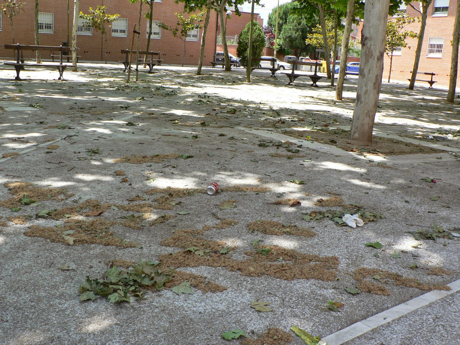 Denuncian suciedad y dejadez municipal en una plaza de Las Águilas ~ GUÍA  DE ALUCHE - LATINA
