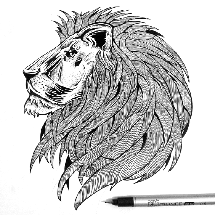 Simply Creative Intricate Pen Drawings by Thiago Bianchini