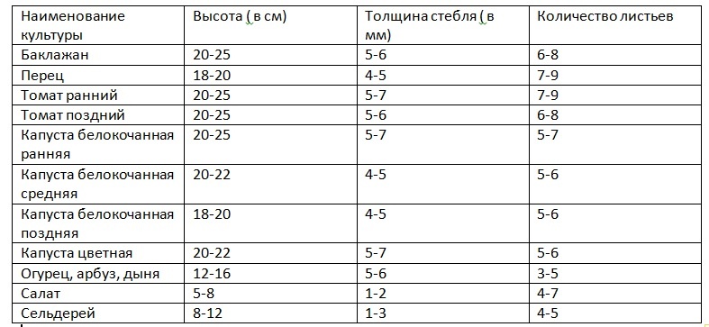 Когда высаживать рассаду